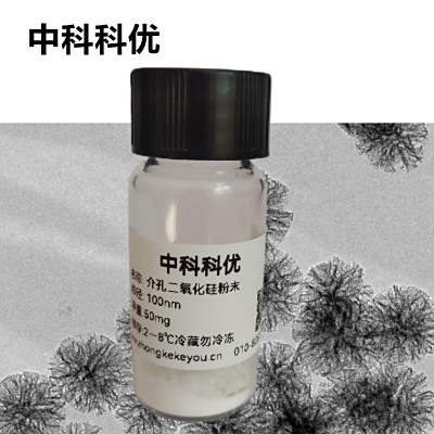 中科科优 树枝状介孔二氧化硅微球  介孔硅纳米粒子