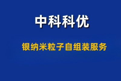 银纳米粒子自组装服务，银纳米粒子的技术服务有哪些内容和方法。