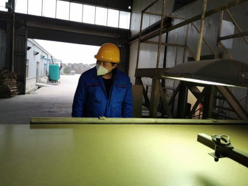 安徽省省委副书记一行来叶集工厂调研督导开复工情况