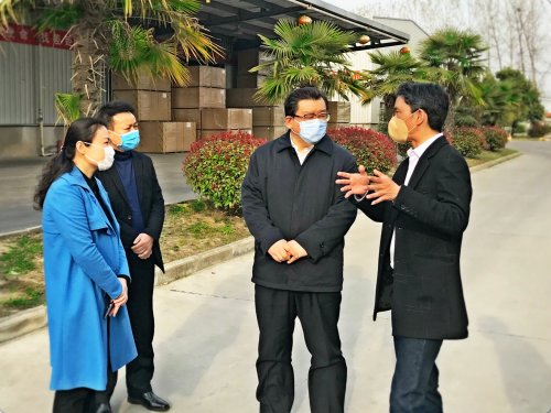 亳州市长杜延安带队来我利辛公司调研指导