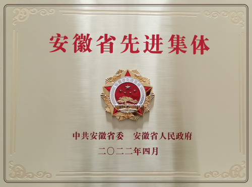 安徽省六安市叶集丽人木业有限公司荣获“2022安徽省先进集体”称号
