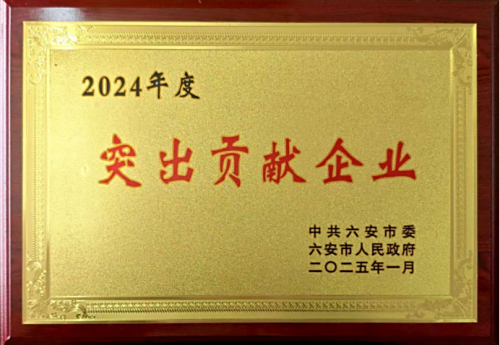 安徽省六安市叶集丽人木业有限公司荣获“2024年突出贡献企业”称号