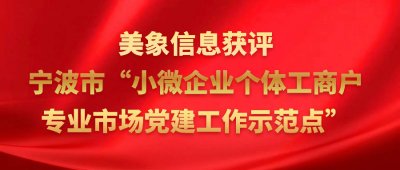 美象党建 | 美象信息党支部获评宁波市“小微企业个体工商户专业市场党建工作示范点”