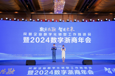 喜获双奖！美象信息斩获“十大数字甬商”、“关键领域软件名企”双重荣誉