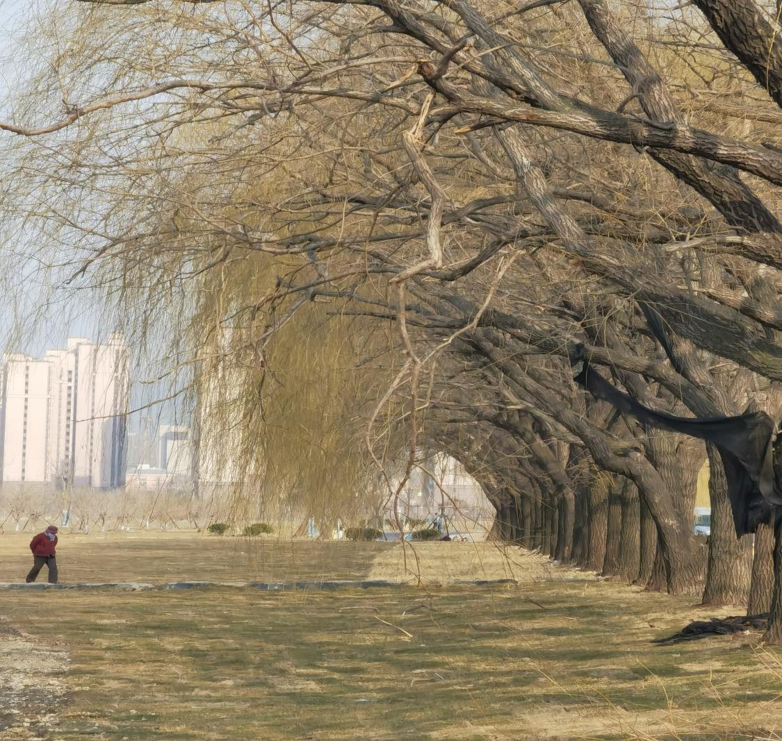 微信图片_20220307163603